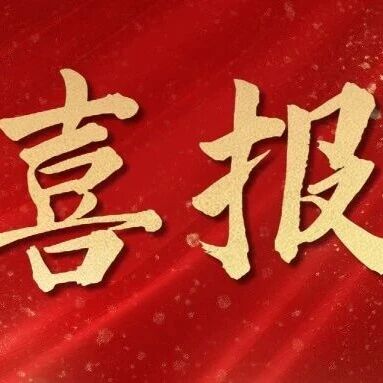 喜报︱538.66万元！浙江代表处“中狮献爱心·共贺党华诞”活动交出高分答卷